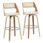 Cecina - Mid-Century Modern Fixed Height Barstool With Swivel (Set of 2) - Zebra / Cream