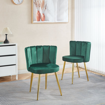 Ergonomic Dining Chair (Set of 2)