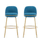 Rio Claro - Indoor Upholstered Barstool (Set of 2)