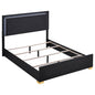 Jeremiah - LED Panel Bed With Touch Controlled Lighting