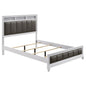 Talia - Panel Bed