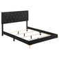 James - Panel Bed