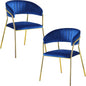 Accent Armchair For Home (Set of 2) - Blue