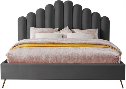 Lily - Bed