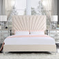 Faiz - Bed