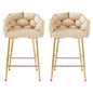 Modern Counter Stools (Set of 2)