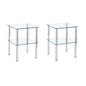 Modern 2 Piece Side Table With Storage Shelf, Tempered Glass, Space Saving Design - Clear