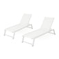 Myers - Modern Chaise Lounge Set With Adjustable Back