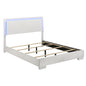 August - 6 Piece Queen Panel Bedroom Set With LED Lighting - White
